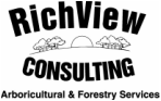 RichView Consulting